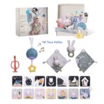 Taf Toys Παιχνίδι Δραστηριοτήτων Newborn develop & play kit