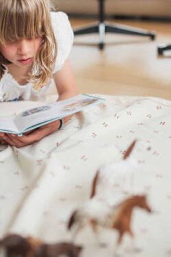 Play & Go Χαλάκι παιχνιδιού - τσάντα 2 σε 1 Cherry Cherry - Image 4