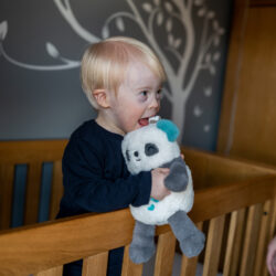 Gro company Pip το πάντα Deluxe Η τέλεια σύντροφος για τον ύπνο - Επαναφορτιζόμενη με USB - Image 12