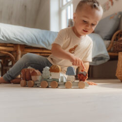 Little Dutch Ξύλινο τρενάκι με άσκηση λεπτής κίνησης σκαντζόχοιρος Forest Friends - Image 5