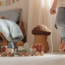 Little Dutch Ξύλινο τρενάκι με άσκηση λεπτής κίνησης σκαντζόχοιρος Forest Friends - Image 3