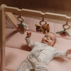 Little Dutch Βρεφικό γυμναστήριο Fairy Garden - Image 5