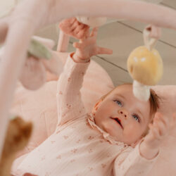 Little Dutch Βρεφικό γυμναστήριο δραστηριοτήτων Fairy Garden - Image 5