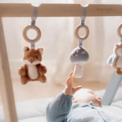 Little Dutch Βρεφικό γυμναστήριο Forest Friends - Image 4