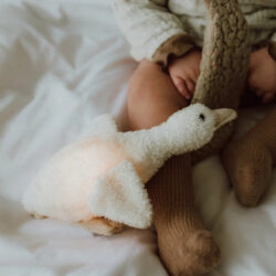 Flow Υφασμάτινη χήνα Liva με φωτάκι νυχτός μπεζ - Image 4