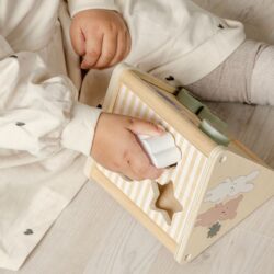 Jabadabado Κουτί Play and Learn για 18-24 μηνών - Image 9