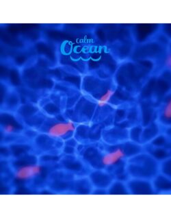 Pabobo Προβολέας Με Ήχους Calm Ocean - Image 5