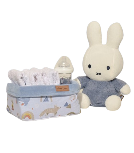 baby_oliver1__4_-removebg-preview Baby Oliver Καλάθι Καλλυντικών Βελουτέ Μπλέ - Image 1