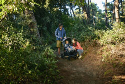 Inglesina Καροτσάκι Aptica XT χρώμα Canyon Grey - Image 7