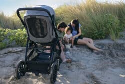 Inglesina Καροτσάκι Aptica XT χρώμα Canyon Grey - Image 8