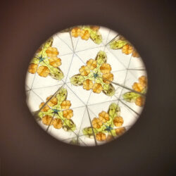 Little Dutch Καλειδοσκόπιο Forest Friends - Image 4