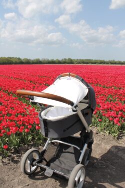 Dooky Ηλιοπροστασία με UPF50+ προστασία Cream - Image 6