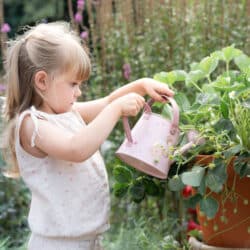 Little Dutch Ποτιστήρι Fairy Garden - Image 2