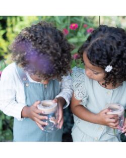 Little Dutch Βαζάκι παρατήρησης εντόμων Fairy Garden - Image 4