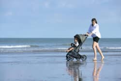 Inglesina Καρότσι περιπάτου Maior χρώμα Canyon Grey - Image 8