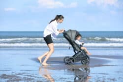 Inglesina Καρότσι περιπάτου Maior χρώμα Canyon Grey - Image 12