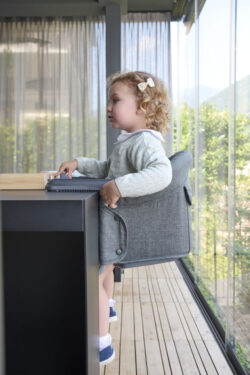 Inglesina Fast χρώμα Charcoal Grey - Image 2