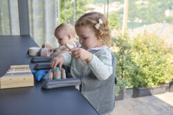 Inglesina Fast χρώμα Charcoal Grey - Image 3