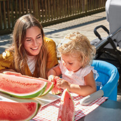 Inglesina Fast χρώμα Charcoal Grey - Image 4