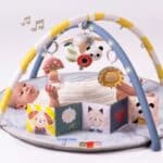 Taf Toys Βρεφικό Γυμναστήριο Melody