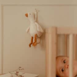 Little Dutch Υφασμάτινο μουσικό κουκλάκι Little Goose GRS - Image 4