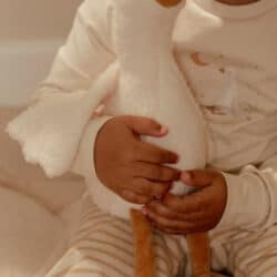 Little Dutch Υφασμάτινο κουκλάκι Little Goose GRS 25εκ. - Image 7