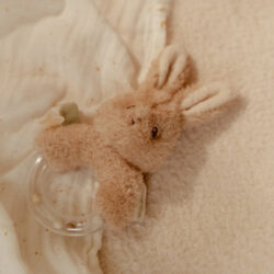 Little Dutch Υφασμάτινη κουδουνίστρα κουνελάκι με κρίκο Newborn Naturals GRS - Image 3