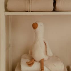 Little Dutch Υφασμάτινο κουκλάκι Little Goose GRS 25εκ. - Image 6