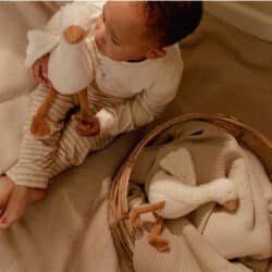 Little Dutch Υφασμάτινο κουκλάκι Little Goose GRS 25εκ. - Image 5