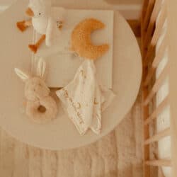 Little Dutch Σετ δώρου Newborn Naturals GRS - Image 4