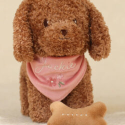 Little Dutch Υφασμάτινο σκυλάκι Jackie σε καλαθούνα GRS - Image 6