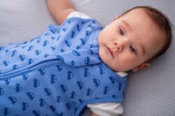 BabyBliss - BlissSac Χειμωνιάτικος Υπνόσακος 2.5 tog "Vroom Cars" 0-6 μηνών - Image 5