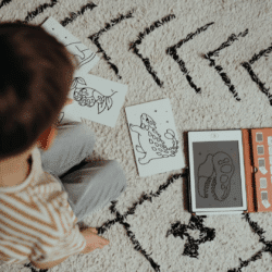 Kidywolf Tablet ζωγραφικής με οθόνη LCD (30 κάρτες)- Dinosaurs - Image 14