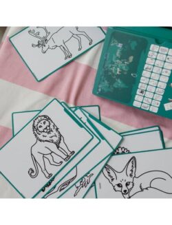 Kidywolf Tablet ζωγραφικής με οθόνη LCD (30 κάρτες)- Animals Around The World - Image 6