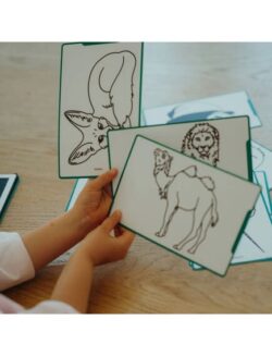 Kidywolf Tablet ζωγραφικής με οθόνη LCD (30 κάρτες)- Animals Around The World - Image 7