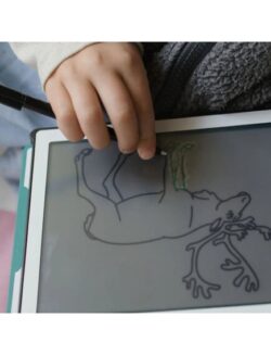 Kidywolf Tablet ζωγραφικής με οθόνη LCD (30 κάρτες)- Animals Around The World - Image 8