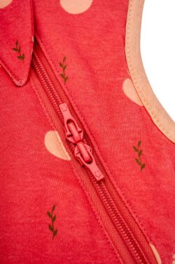 BabyBliss - BlissSac Χειμωνιάτικος Υπνόσακος με ποδαράκια 2.5 tog "Lovely Apples" 6-18 μηνών - Image 3