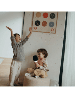 Kidywolf Μικρόφωνο Karaoke επαναφορτιζόμενο με φως & bluetooth- Επιλέξτε χρώμα - Image 11