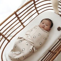 Meyco Swaddle Sand Penguin 0-3 μηνών - Image 2