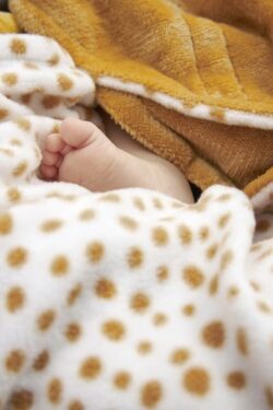 Meyco Fleece Wrap Για Το Κάθισμα Αυτοκινήτου Cheetah Honey Gold - Image 3