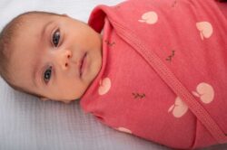 BlissSnug Υπνόσακος Φασκιώματος Σετ των 2 - Lovely Apples - Image 5