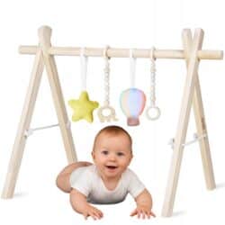 Lionelo Anis Ξύλινο Γυμναστήριο