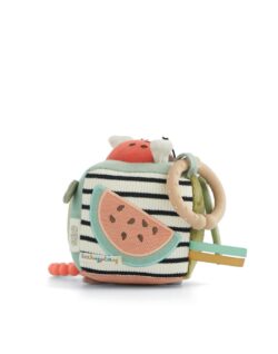 Mamas & Papas Βρεφικό Παιχνίδι Δραστηριότητας Cube Mini Born To Be Wild - Image 2