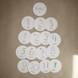 Κάρτες Αναμνήσεων Milestone Cards - Mushie - Image 6