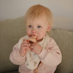 Mushie Σετ 2 Τροφοδότες Φαγητού Σιλικόνης Blush - Image 2