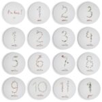 Κάρτες Αναμνήσεων Milestone Cards - Mushie