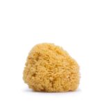 Suavinex Σφουγγάρι Μπάνιου Βρεφικό Natural LRG +0μ