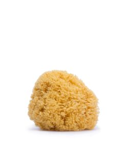 Suavinex Σφουγγάρι Μπάνιου Βρεφικό Natural LRG +0μ