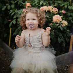 Mushie Κλιπ Πιπίλας Eva Dried Thyme - Image 3