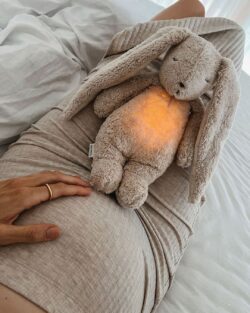 Moonie 2.0: Επαναφορτιζόμενο βοήθημα ύπνου με ηχογράφηση & αισθητήρα κλάματος – Οργανικό βαμβάκι Sand Bunny - Image 9